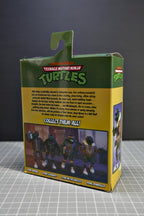 Teenage Mutant Ninja Turtles Punk Donatello Cartoon 6" Action Figure TMNT NECA