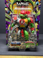 RAPHAEL Turtles of Grayskull Wave 5 Figure MOTU TMNT BRAND NEW UNPUNCHED