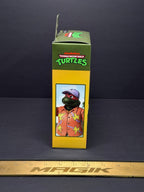 NECA TMNT Vacation Raphael Teenage Mutant Ninja Turtles Cartoon 7” Figure