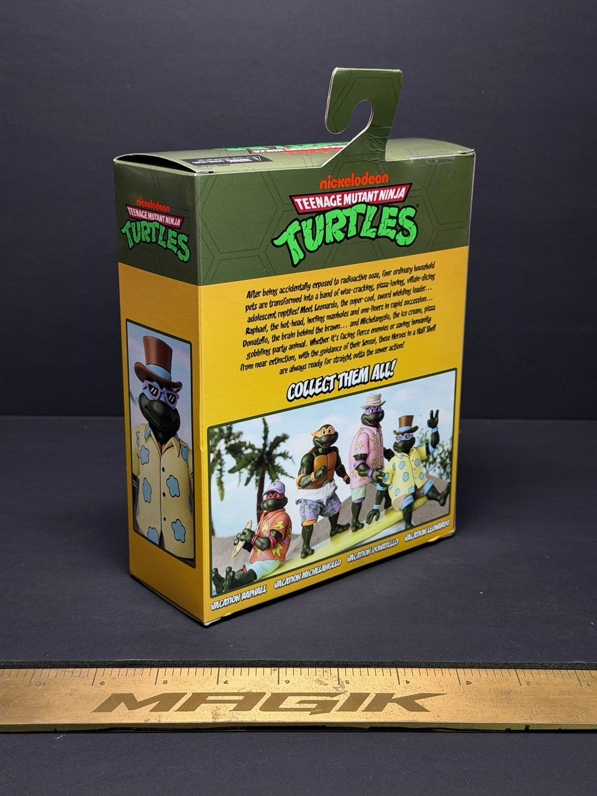 NECA Teenage Mutant Ninja Turtles (TMNT Cartoon) Vacation Leonardo